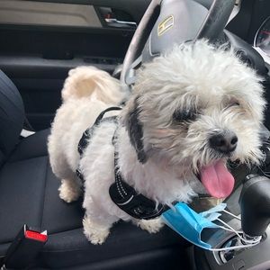 Meet your Posher, Gloria